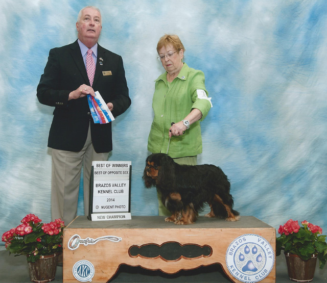 Franco becomes an AKC Champion