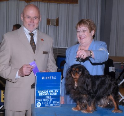 Randy wins Best Bred-By at Eukanuba Dec 2012