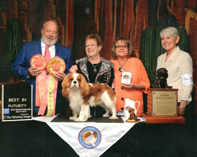 Harris Jr wins Best in Futurity at the 2013 ACKCSC Nationals