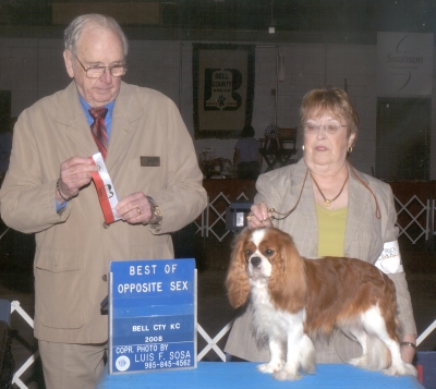 Randy wins Best Bred-By at Eukanuba Dec 2012