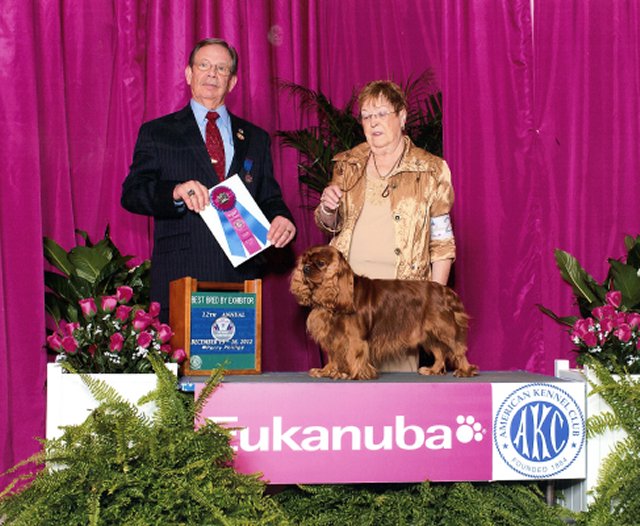 Randy wins Best Bred-By at Eukanuba Dec 2012