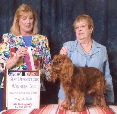 Randy wins Best Bred-By at Eukanuba Dec 2012