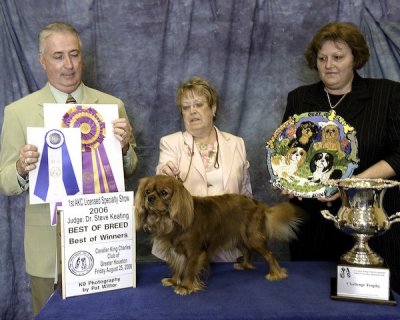 Rudy wins Best of Breed